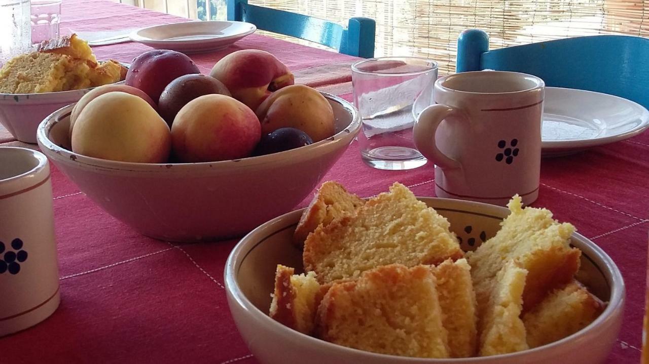 Scigliano B&B Calabria מראה חיצוני תמונה