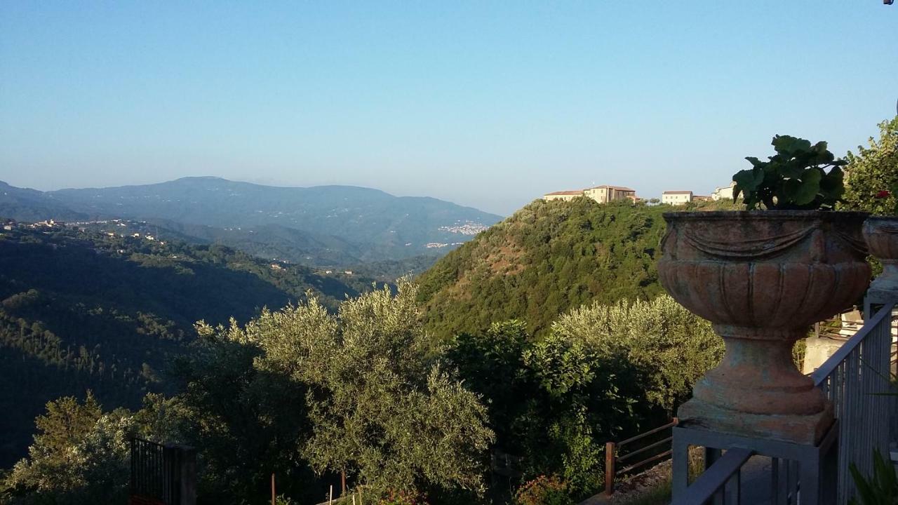 Scigliano B&B Calabria מראה חיצוני תמונה